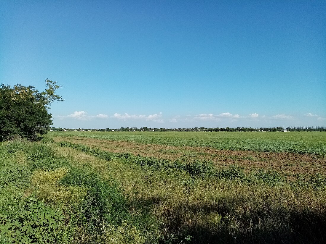 Արբուզովո (գյուղ, Պերվոմայսկի շրջան)