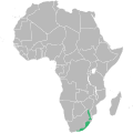 Range of Argyrolobium tomentosum