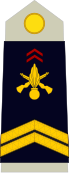 insignia with two chevrons