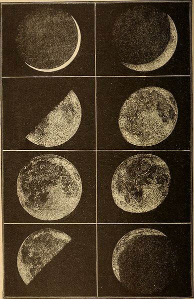 File:Astronomy for the use of schools and academies (1882) (14577533808).jpg