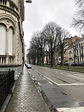 Vignette pour Avenue Albert (Région de Bruxelles-Capitale)