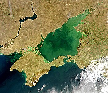 Азовське море, 110,3 тис.