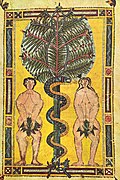 Adam et Eve, manuscrit enluminé d'environ 950