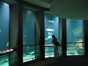 It grutte akwarium fan it Baltimore Aquarium yn Baltimore