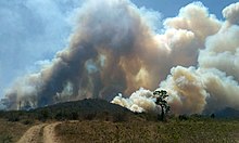 Kebakaran hutan sebagai salah satu penyebab pencemaran udara