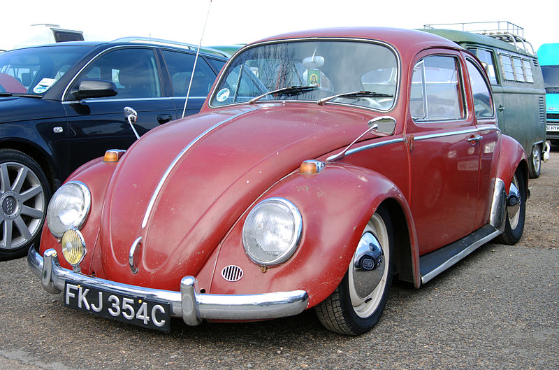 File:Beetle (3408268715).jpg