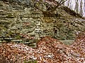 Čeština: Vrásnění skal poblíž Berouna-Hostimi, Středočeský kraj nápověda English: Rock formations near Srbsko village and Beroun-Hostim, Central Bohemian region, CZ help