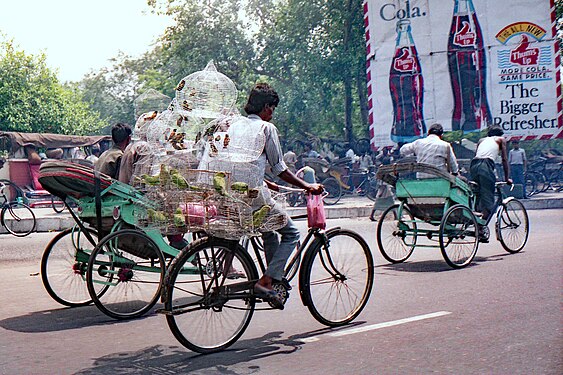 Bird dealer on bicycle, New Delhi, 1989