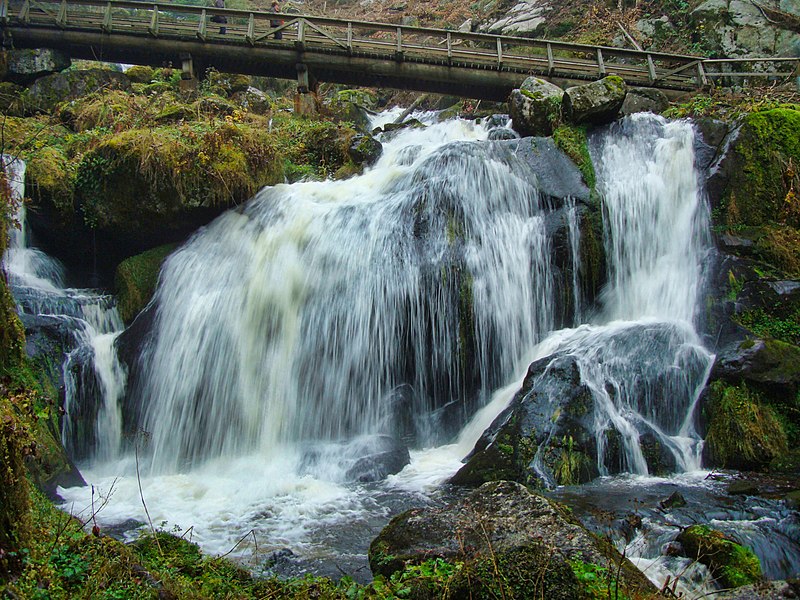 File:Black Forest (near Elztal) 10 (39559663144).jpg