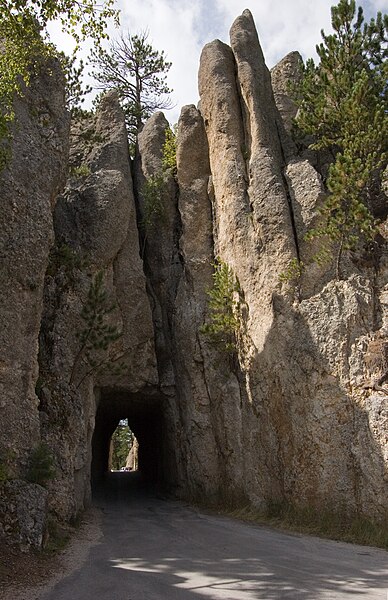 File:Black Hills 2006-09-02 (328808457).jpg