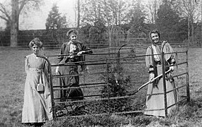 Suffragettes Emmeline Pethick-Lawrence planting with Annie Kenney and Lady Constance Lytton 1909