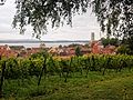 Blick vom Fürstenhäusle auf Meersburg