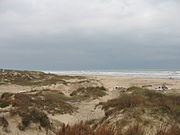 Boca Chica Park auf South Padre Island