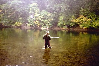 Angler in the Bogachiel River