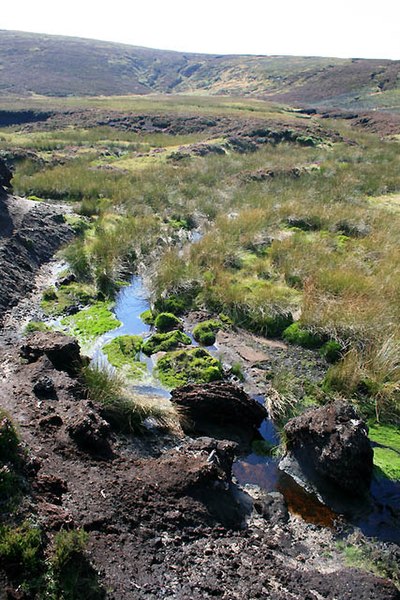Boggy ground in Swains Greave, on Bleaklow