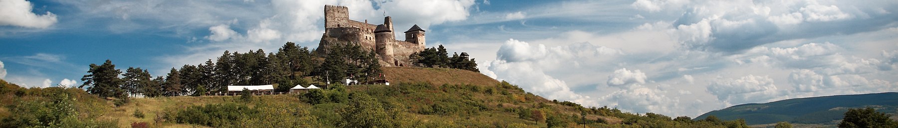 Болдогковараља варром (цроппед) .јпг