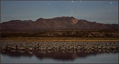 Bosque del Apache at night.jpg