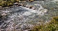 * Nomination Breil-Brigels. Rapids in mountain stream Flem. --Agnes Monkelbaan 05:24, 7 March 2023 (UTC) * Promotion  Support Good quality. --XRay 06:33, 7 March 2023 (UTC)