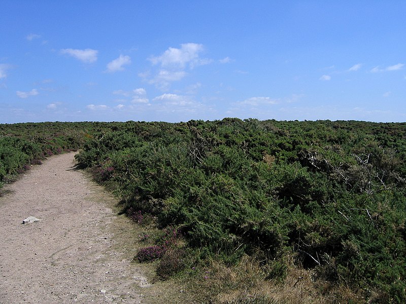 File:Bretagne - Finistère - cap de la chèvre 005.JPG