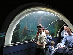 Seal and Penguin Coasts “underwater” tunnel at Bristol Zoo, Bristol, England