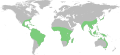 Burmanniaceae map-2.svg