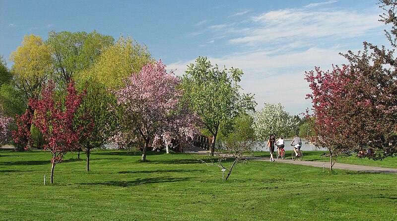 File:CEF Arboretum by Wilder.JPG