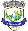 Cafarnaum'un resmi mührü