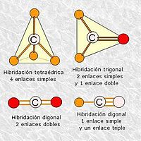 Múltiples posibilidades de enlace del átomo de carbono