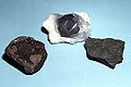 Aminosavtartalmú meteorit-maradványok