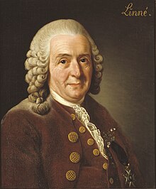 Portrait of Linnaeus on a brown background with the word "Linne" in the top right corner