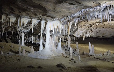 Metro Cave / Te Ananui Cave Cavern full of stalactites and stalagmites in Metro Cave Te Ananui Cave.jpg