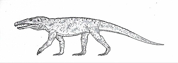 Image: Cerritosaurus