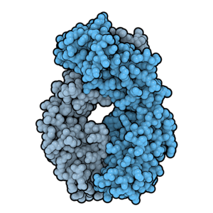 CertolizumaB 5WUV.png