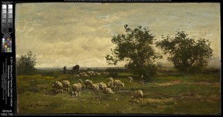 Paysage aux moutons