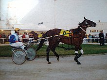 Chokin at Gawler 1992.jpg