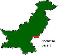 Cholistan desert location.jpg