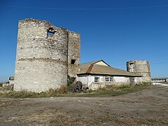 Силосні вежі у селі Чорна, які ми спочатку прийняли за старовинну фортецю