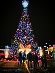 Christmas tree, Plaza, Las Cruces, New Mexico, USA