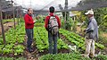 Miniatura da versão das 13h43min de 28 de agosto de 2013