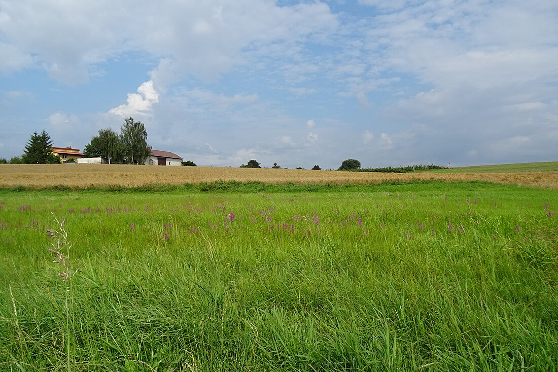 Ciemięga (dopływ Bystrzycy koło Sobianowic)