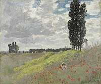 Walk in the Meadows at Argenteuil Claude Monet - A Walk in the Meadows at Argenteuil - 1998.107 - Rhode Island School of Design Museum.jpg