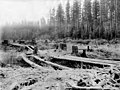 Cleared land with logs layed across trenches, probably Washington, between 1900 and 1915 (INDOCC 1772).jpg