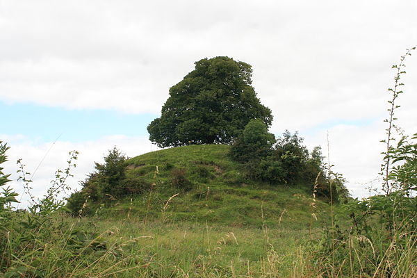 Motte-and-bailey built by de Lacy at Clonard, County Meath