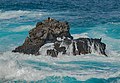 Coast - Los Cancajos 02.jpg