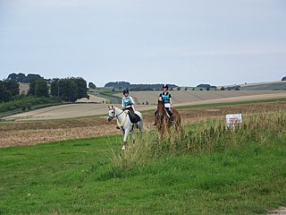Long-distance horse riding