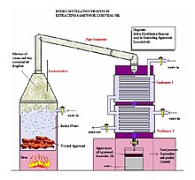 Hydro-distillation process of agarwood essential oil Condensers.jpg