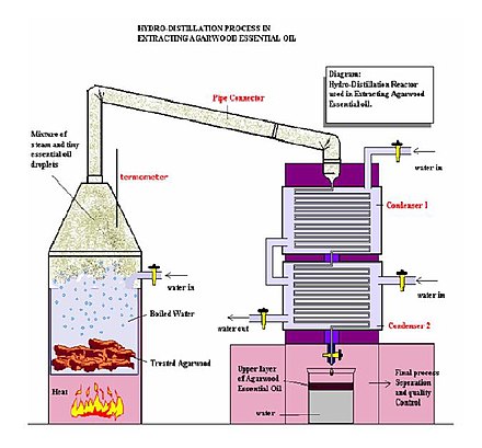Steam distillation process used to extract agarwood essential oils