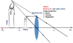 Miniatuur voor Bestand:Convex lens - Object between focal point and optical centre.png