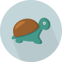 turtle icon