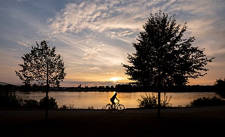 Cycling next to the Danube (Esztergom, Hungary)